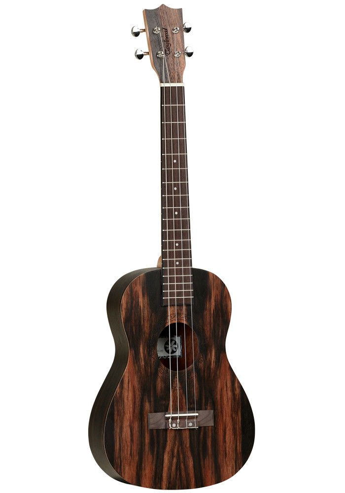 Tanglewood twt14e outlet