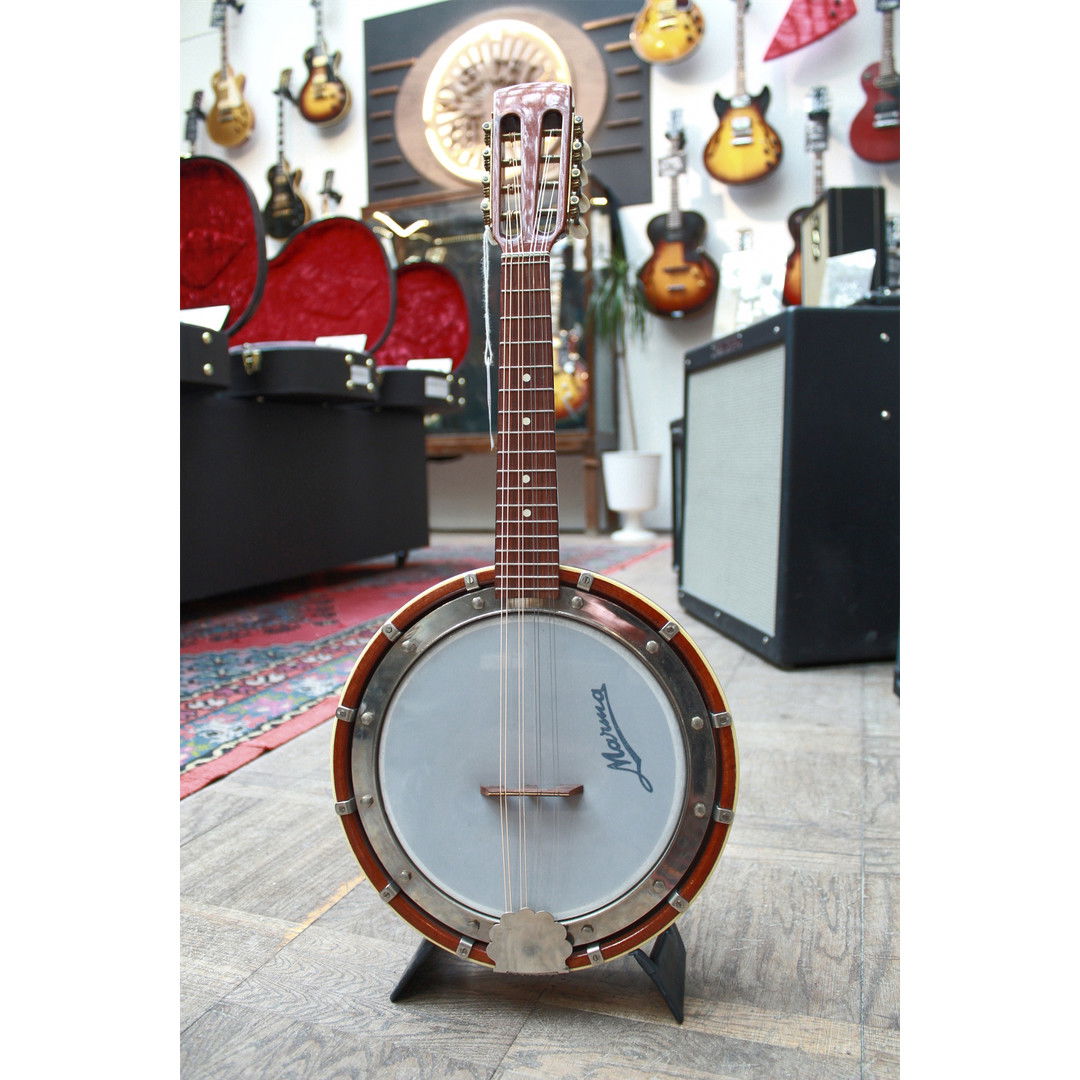 Guitar store mandolin banjo