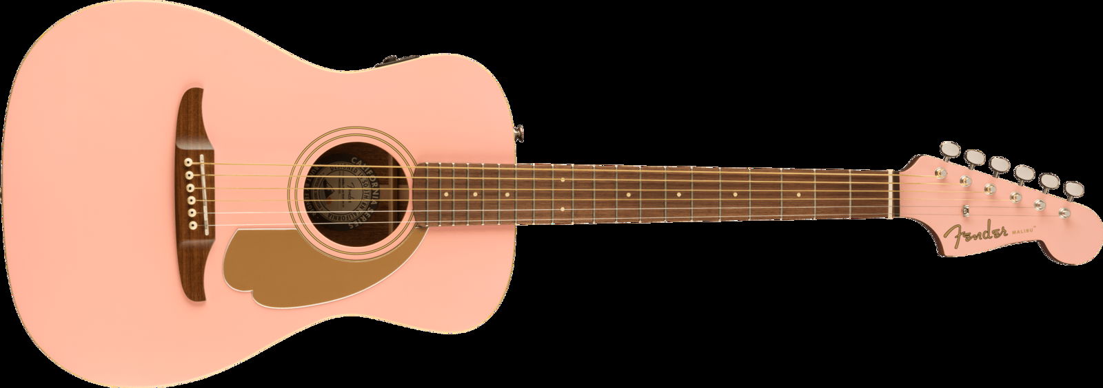 Fender Acoustics FSR Malibu Player All Mahogany - ギター