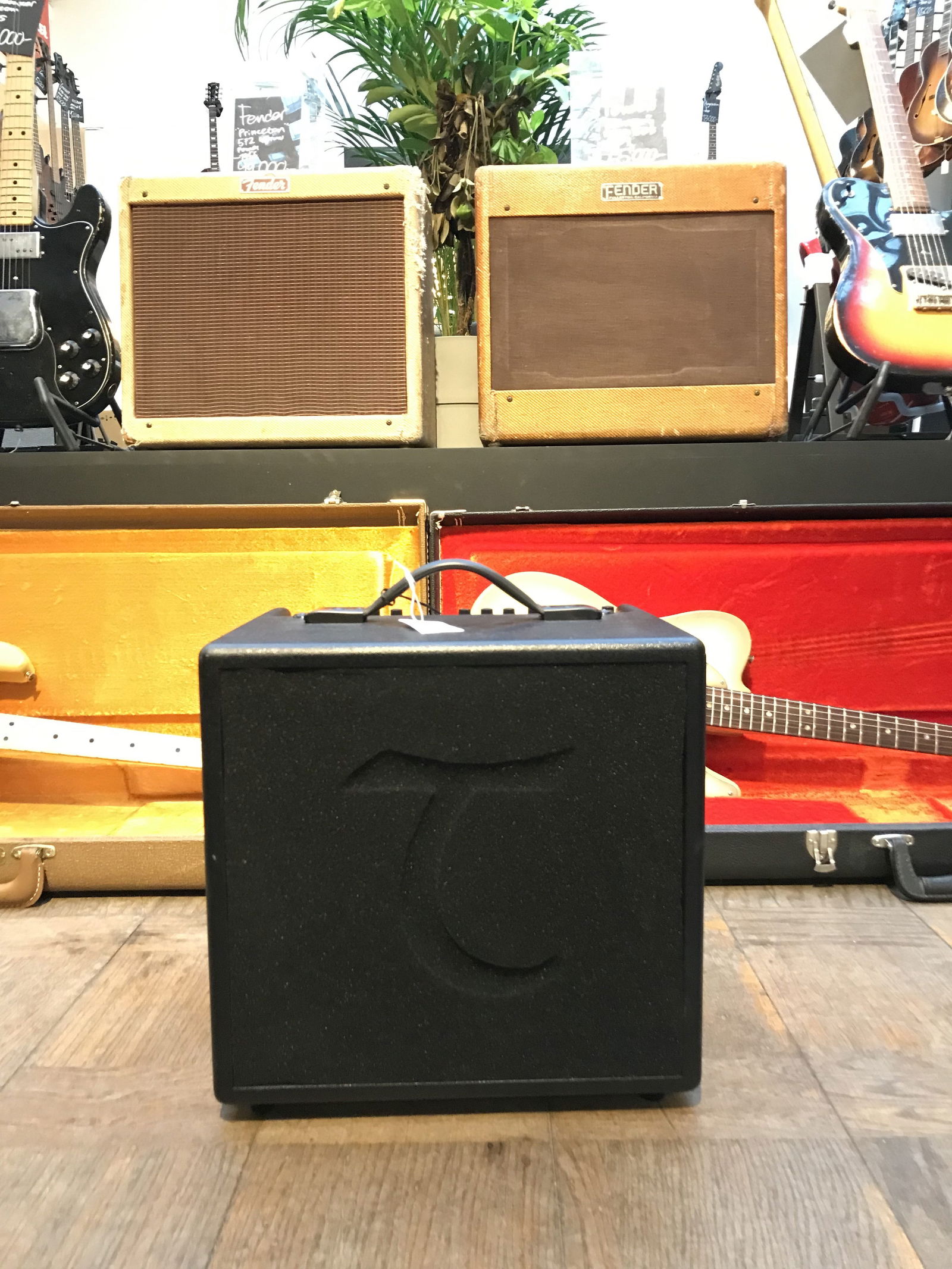 Tanglewood amp store