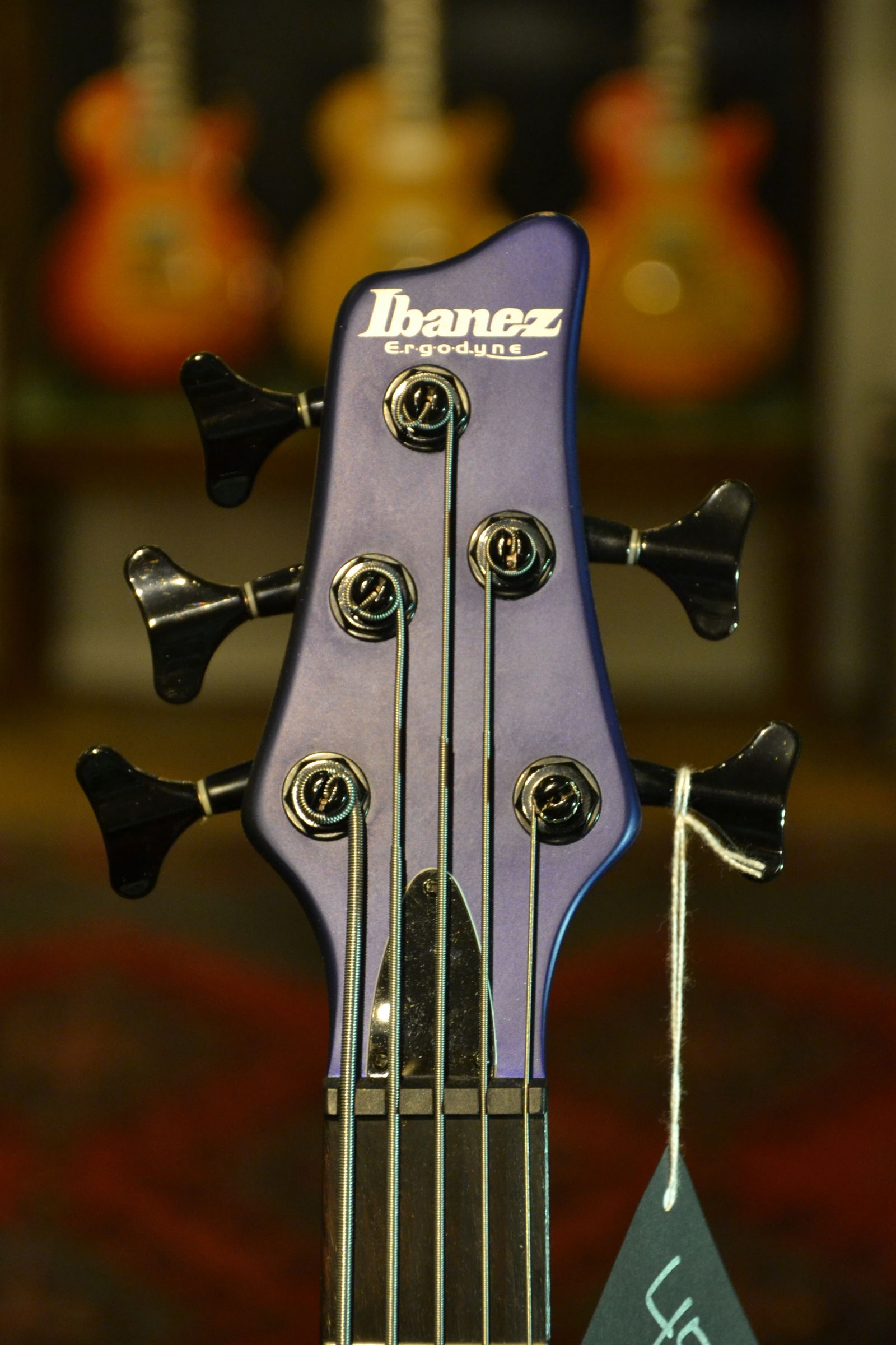 Ibanez 5弦ベース Ergodyne EDB605 C8100587 - ベース