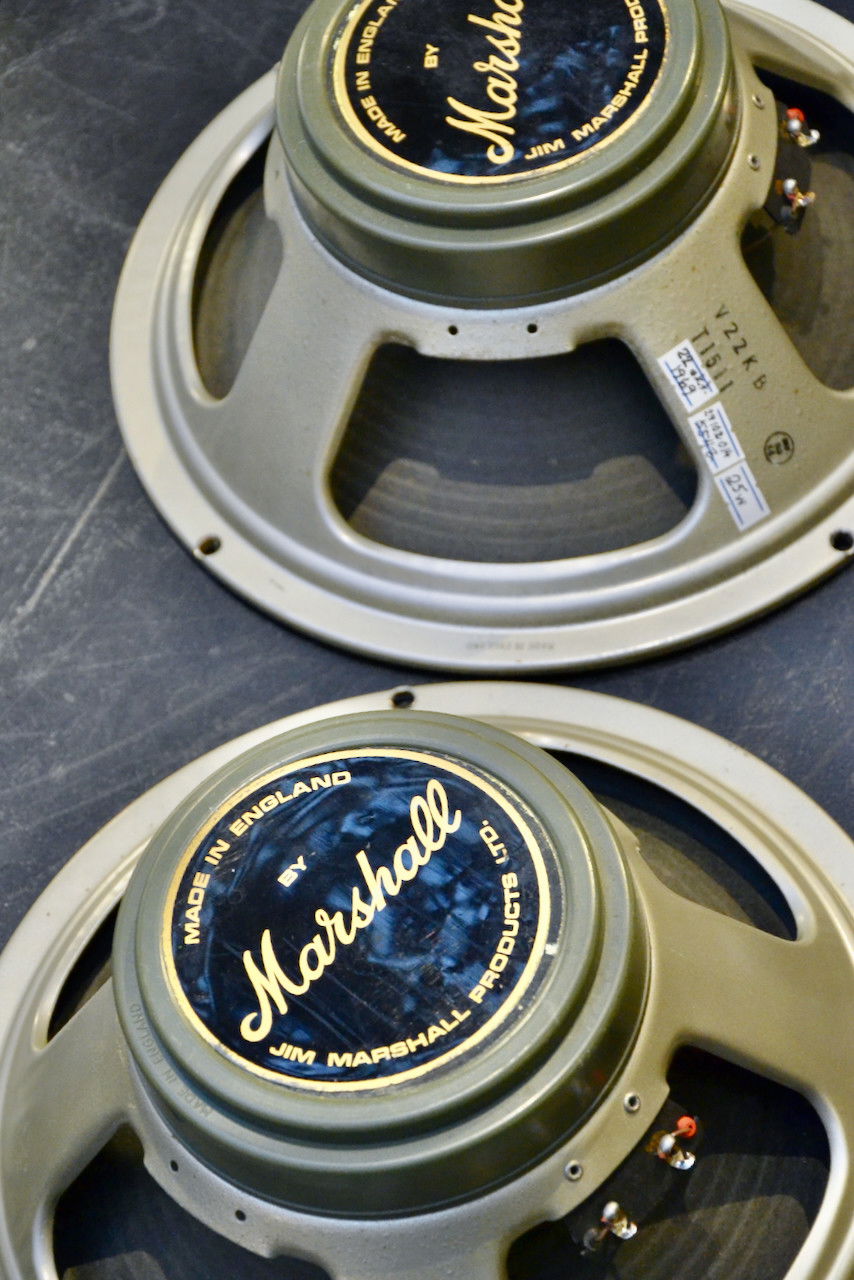 Marshall celestion hot sale