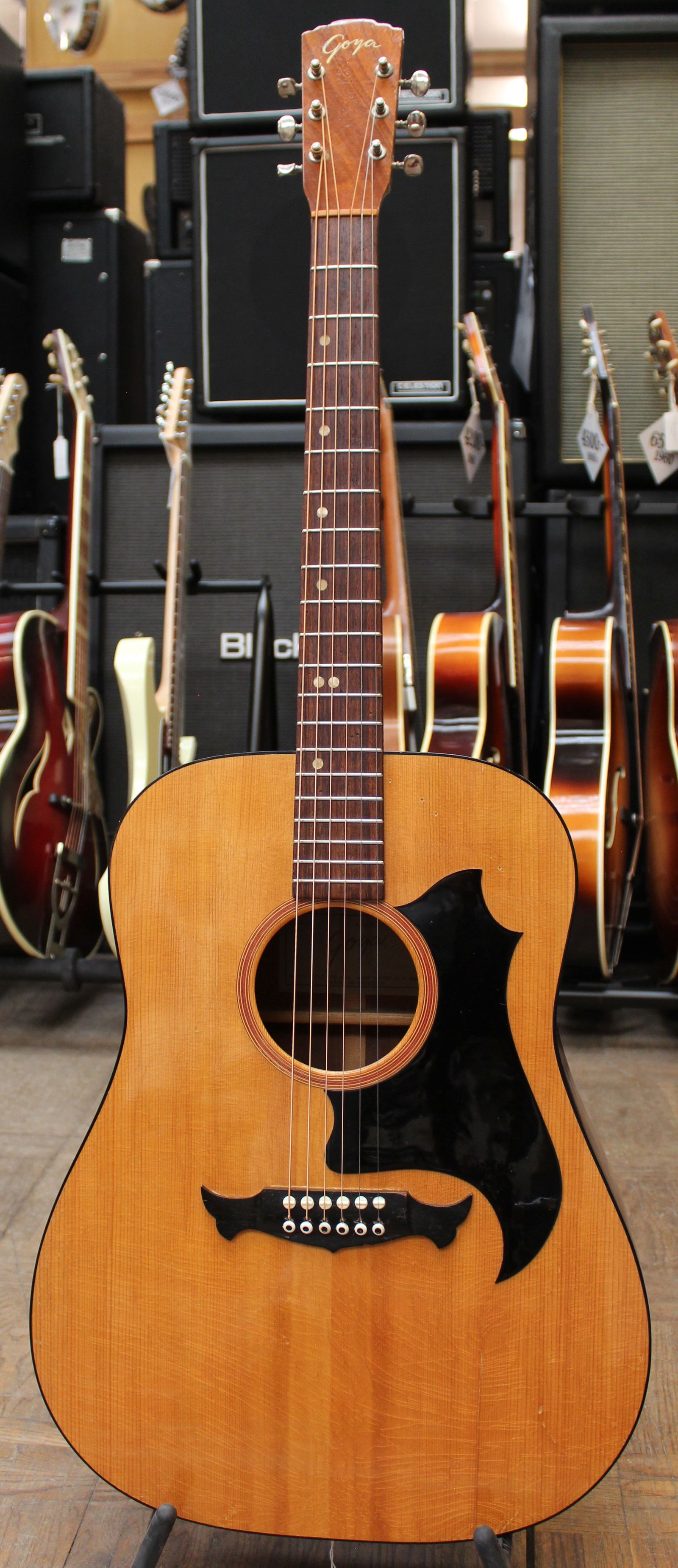 Goya acoustic online guitar