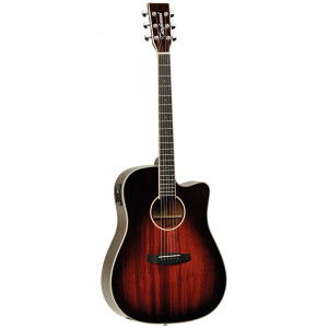 Tanglewood TW5E AVB Winterleaf series