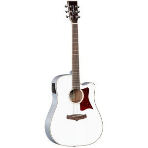 Tanglewood TW5E WH white Winterleaf series