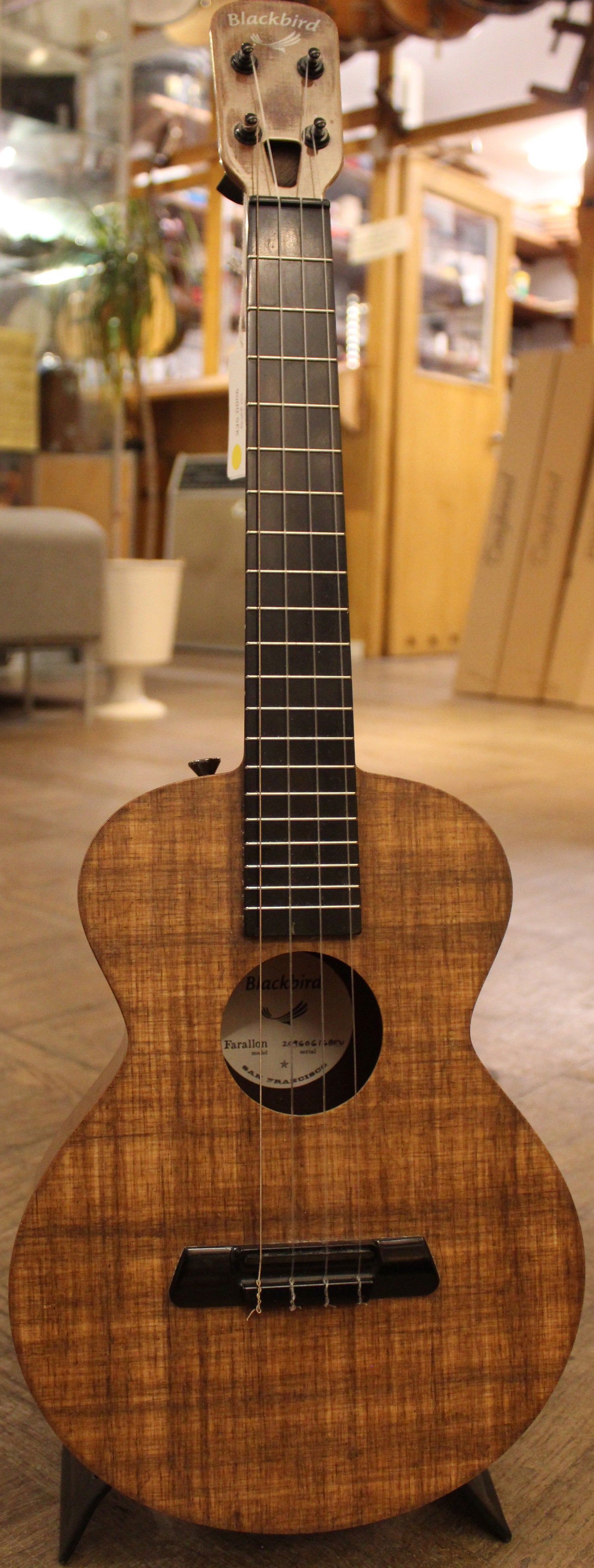 Blackbird ukulele on sale for sale